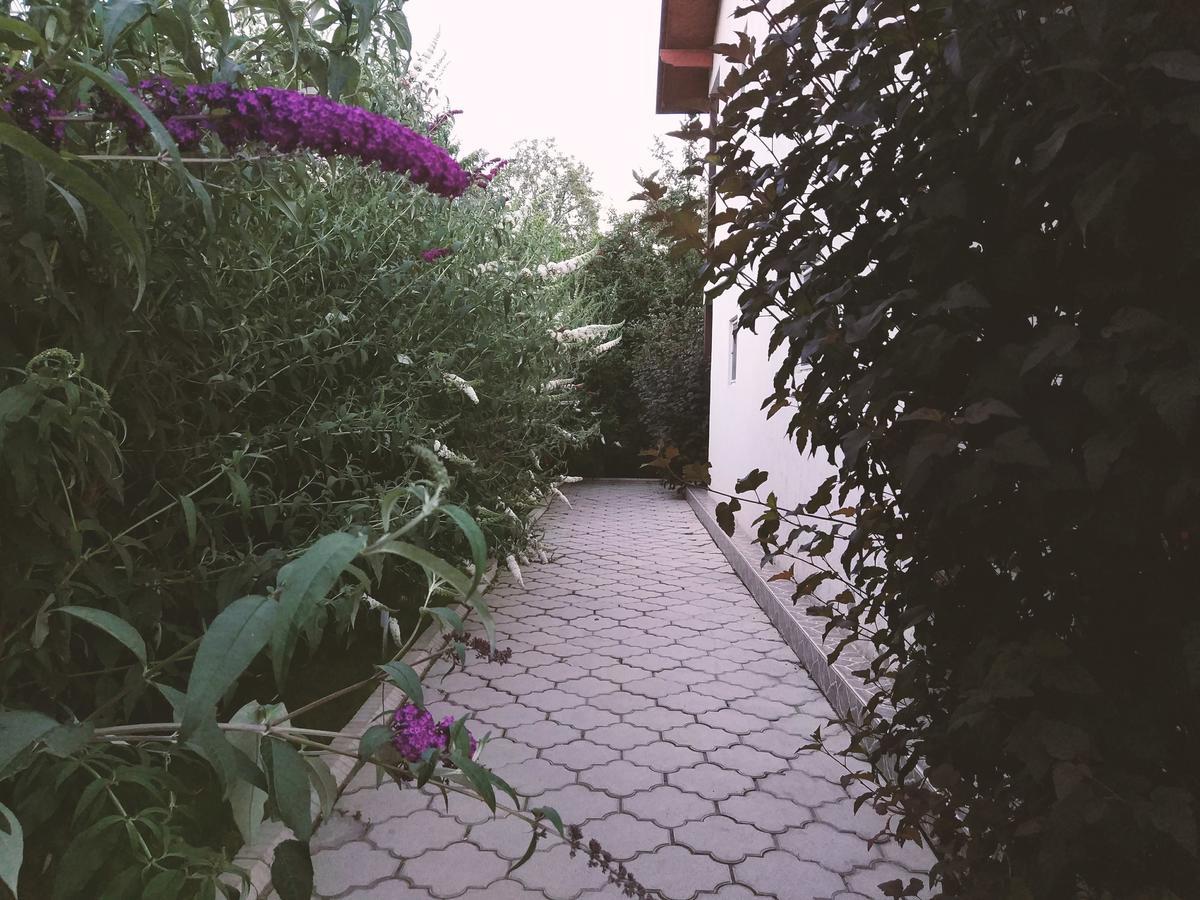 Dolinka Guest House Leto מראה חיצוני תמונה